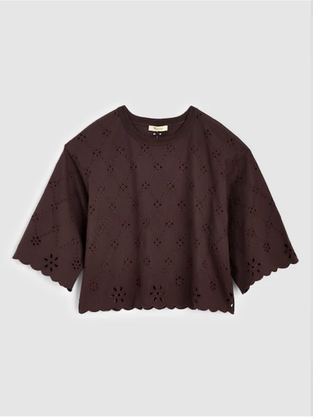Madewell The Embroidered Boxy Crop Tee in Allday Jersey